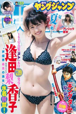大宋奇案之狸猫换太子传奇